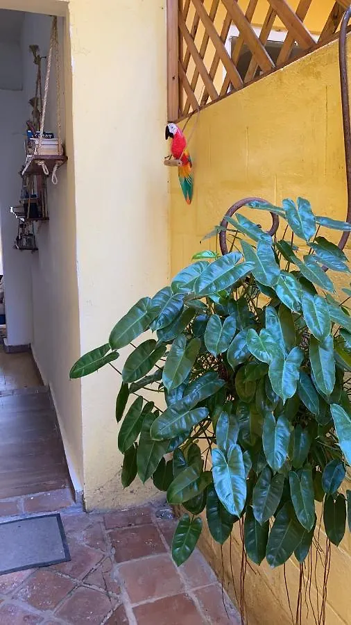 Chao Mama Hostal Saint-Domingue Mini-hôtel